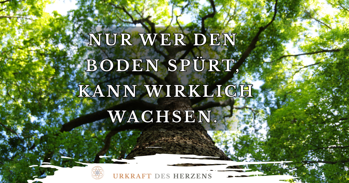 Nur wer den Boden spürt,  kann wirklich wachsen.